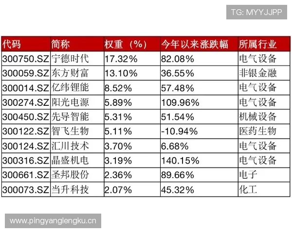 从财务报表到商业帝国会计出身企业家的成长与智慧之路